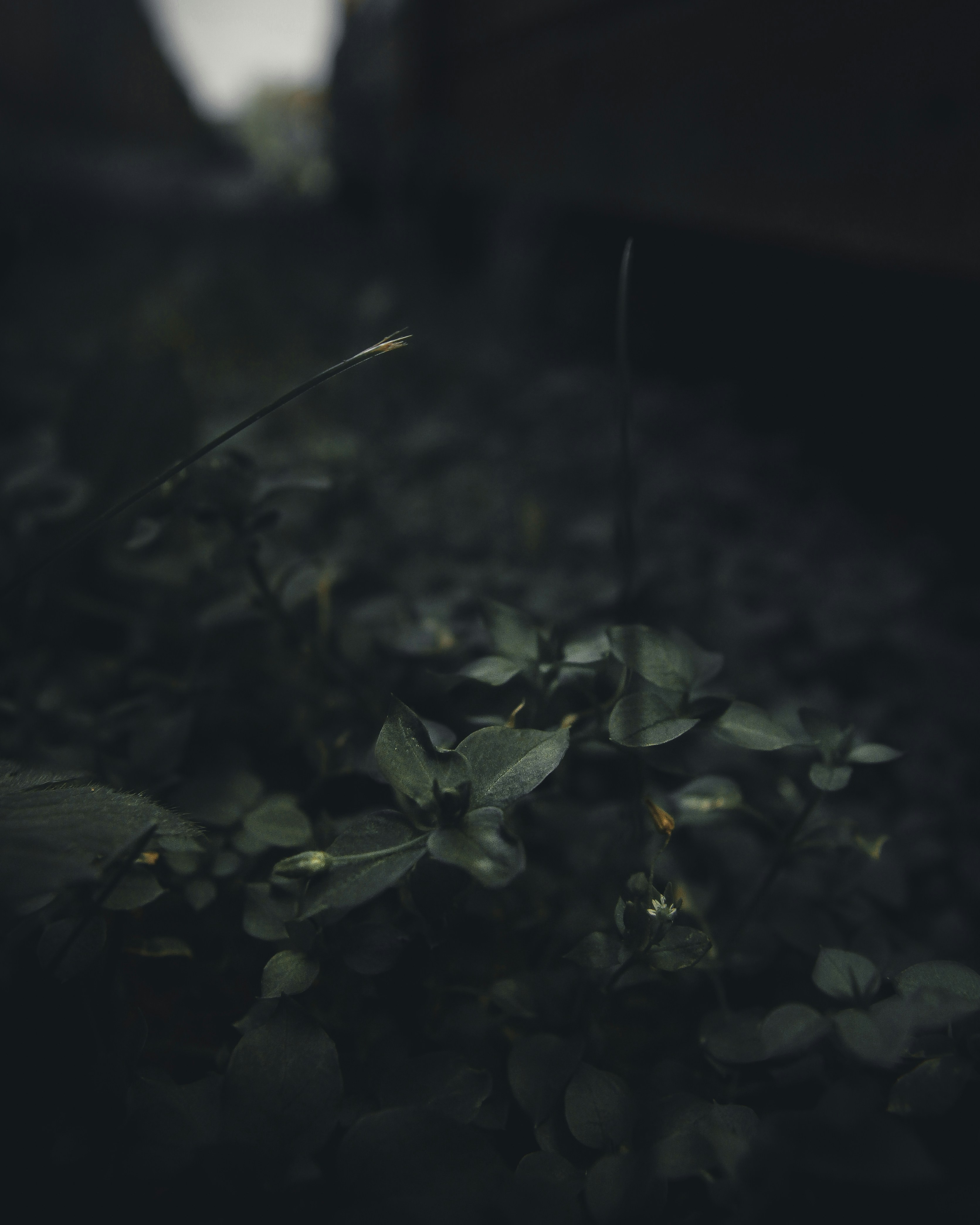 Photo by kirillpershin