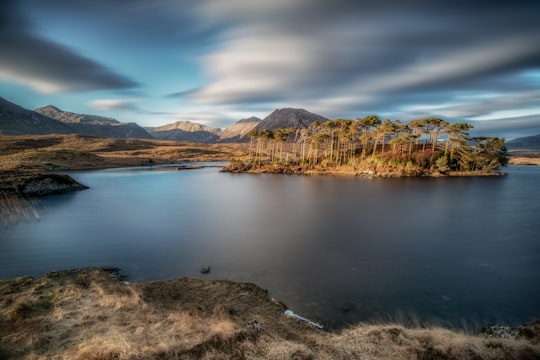 island with trees in Derryclare Lough Ireland