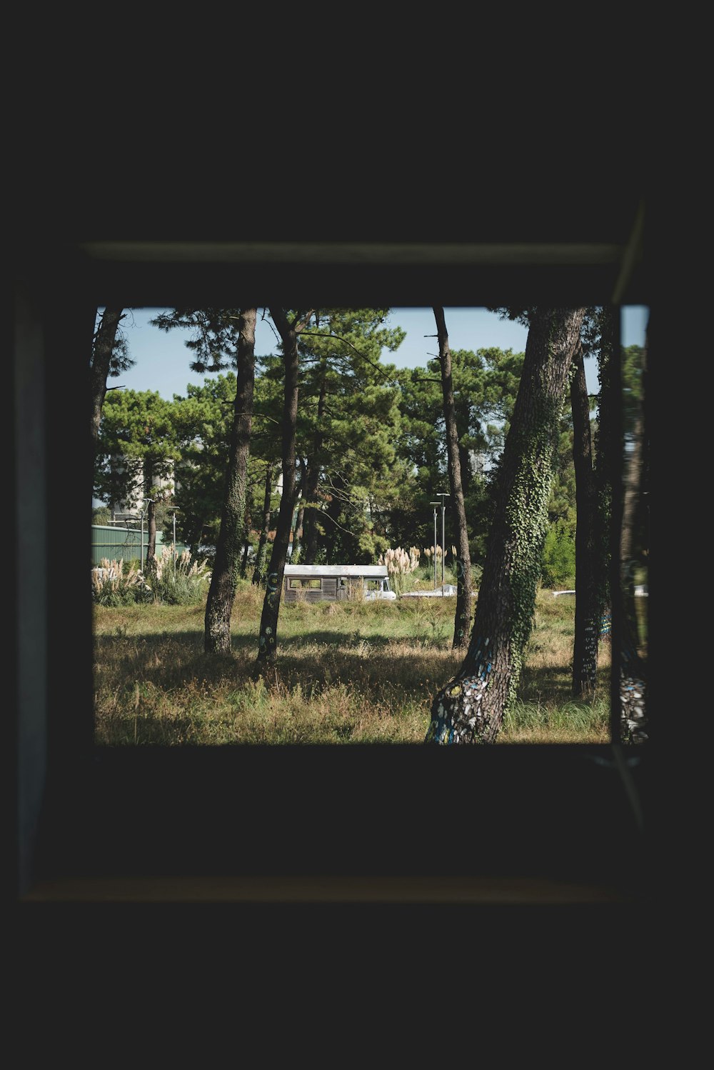 a view of a park through a window