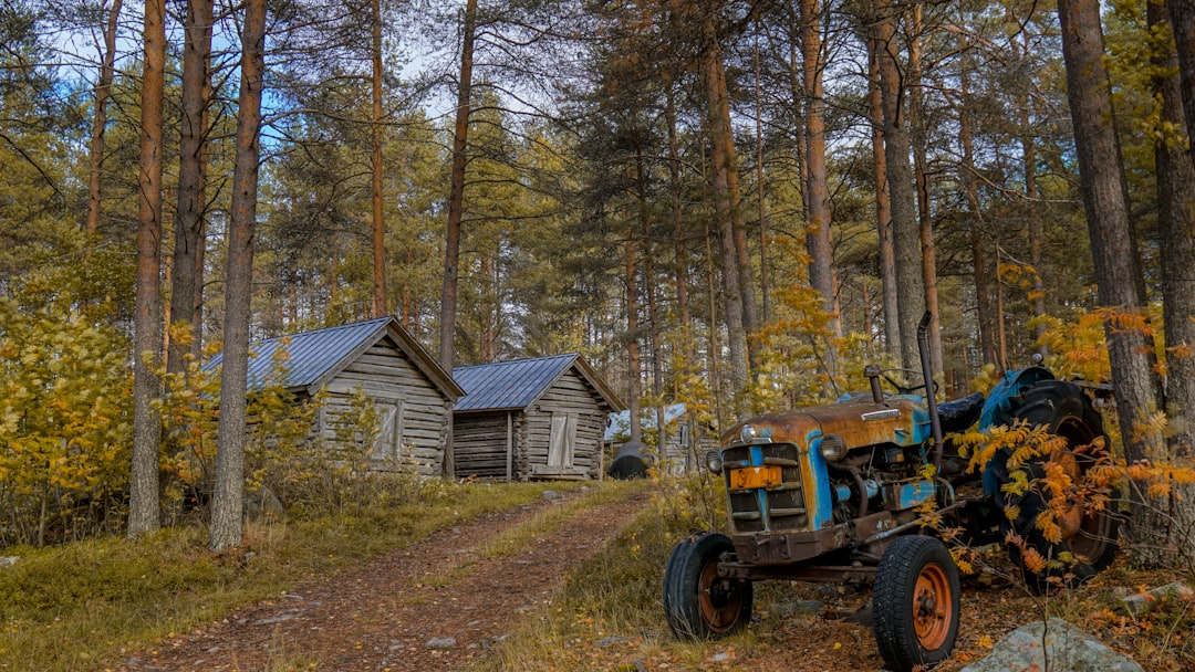 Forest photo spot Raanujärvi Finland