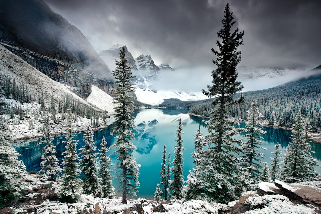 Spruce-fir forest photo spot Moraine Lake Canada