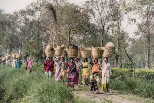 people carrying baskets in Assam India
