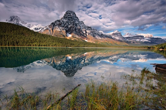 landscape photography of body of water against mountain in Mount Chephren Canada