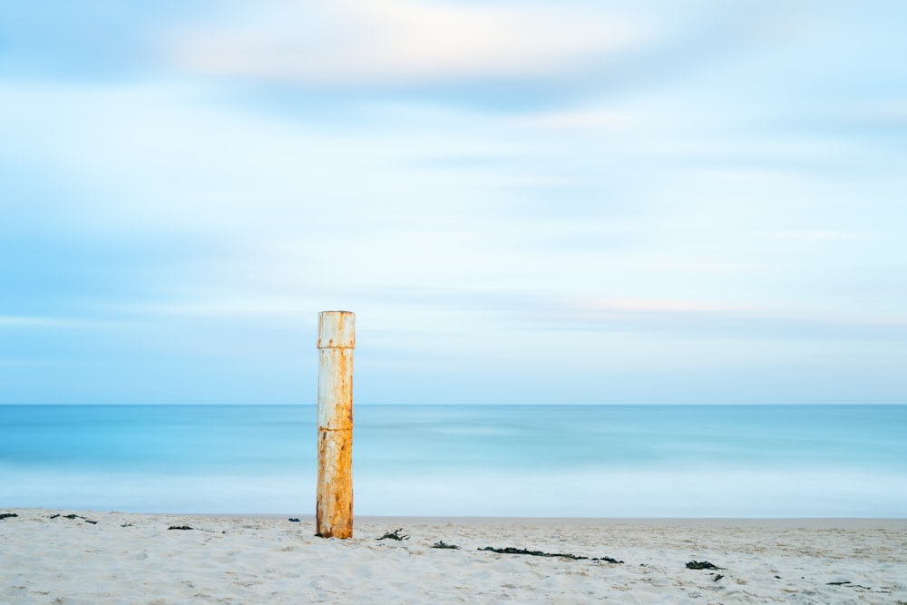 brown wooden post near seashore during daytime