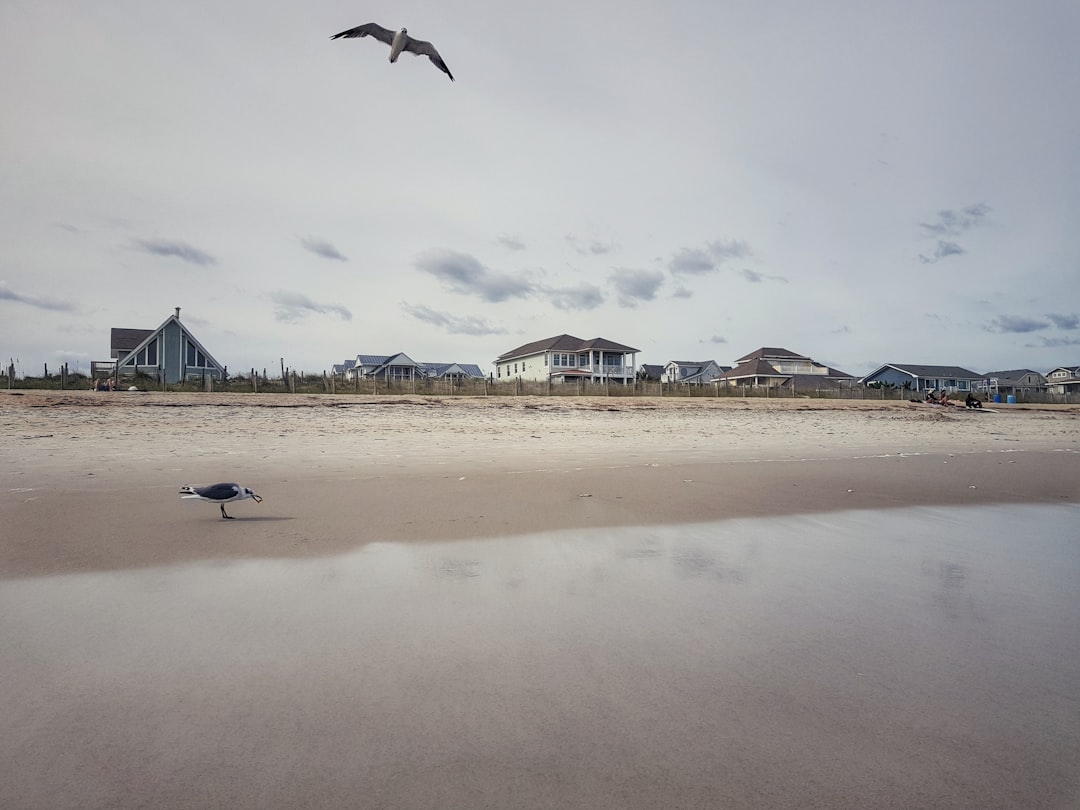 photo of Wilmington Beach near Figure Eight Island