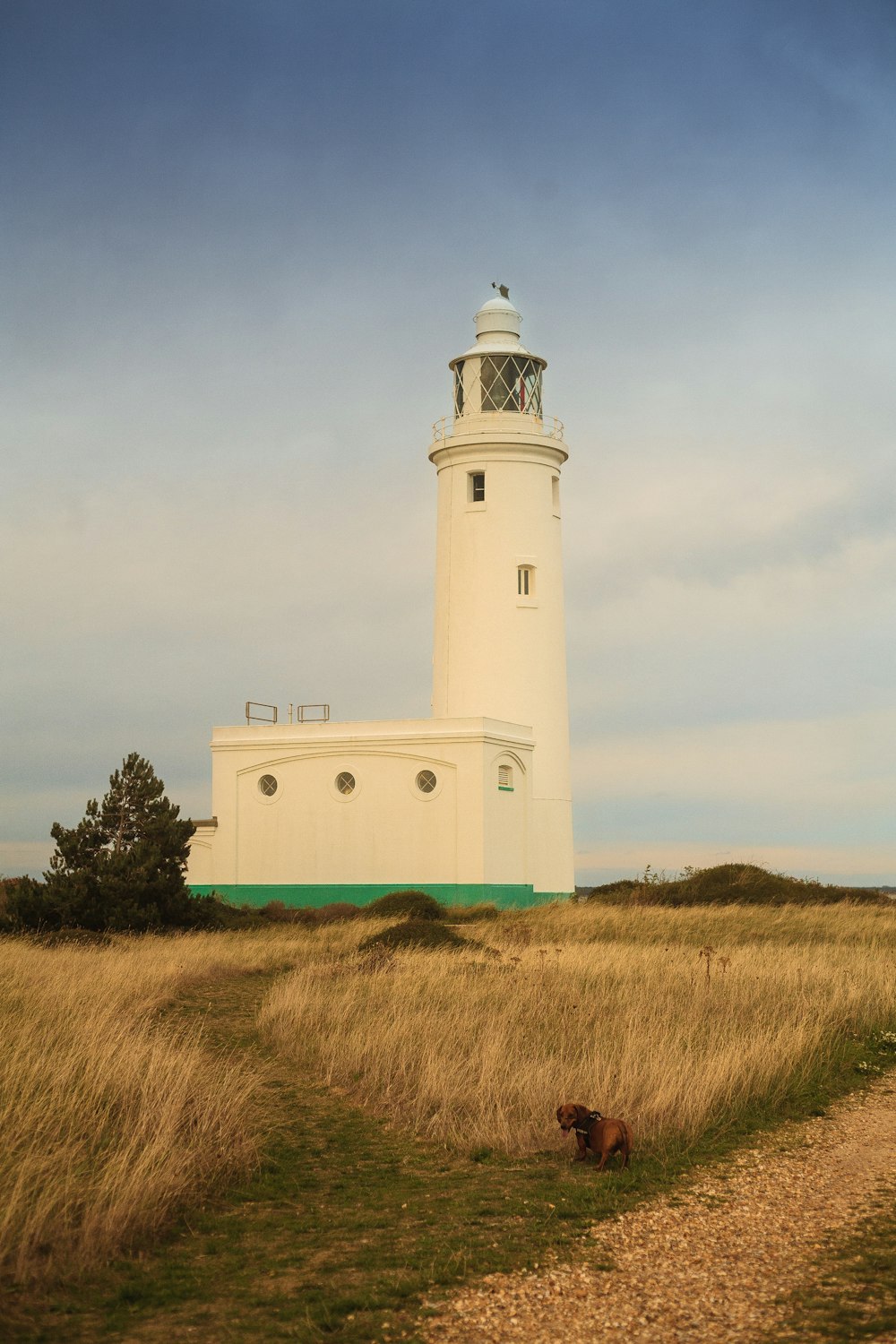 white lighthouse surrounded with grasses under blue sky