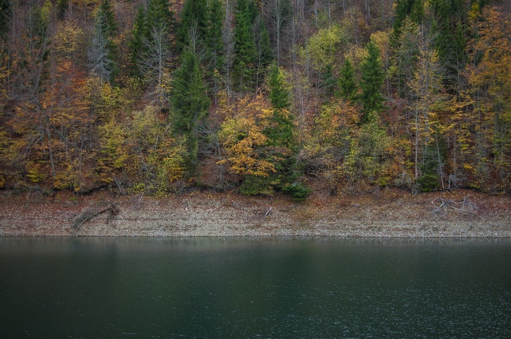 green trees