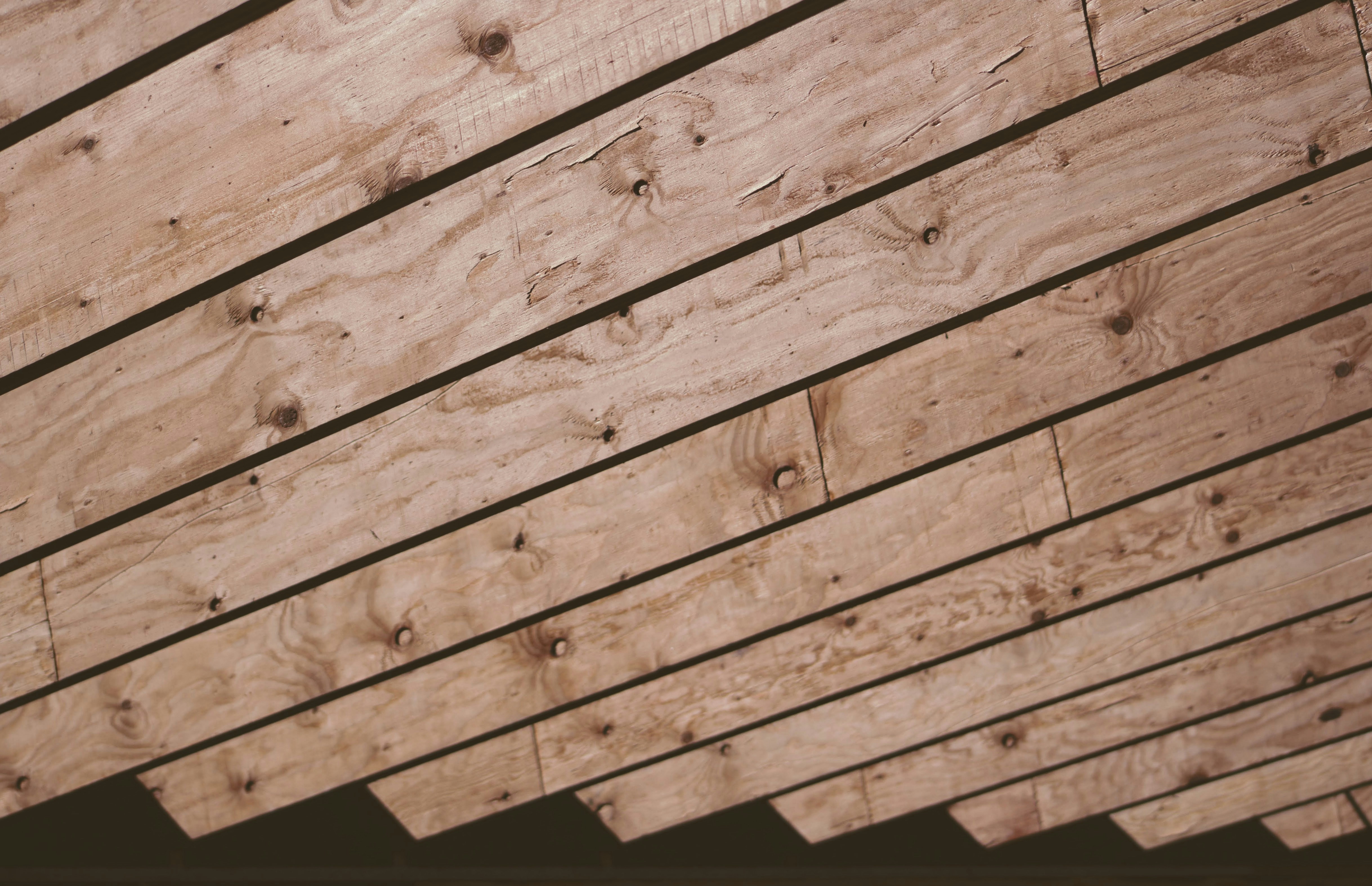 Photo by joshua_hoehne