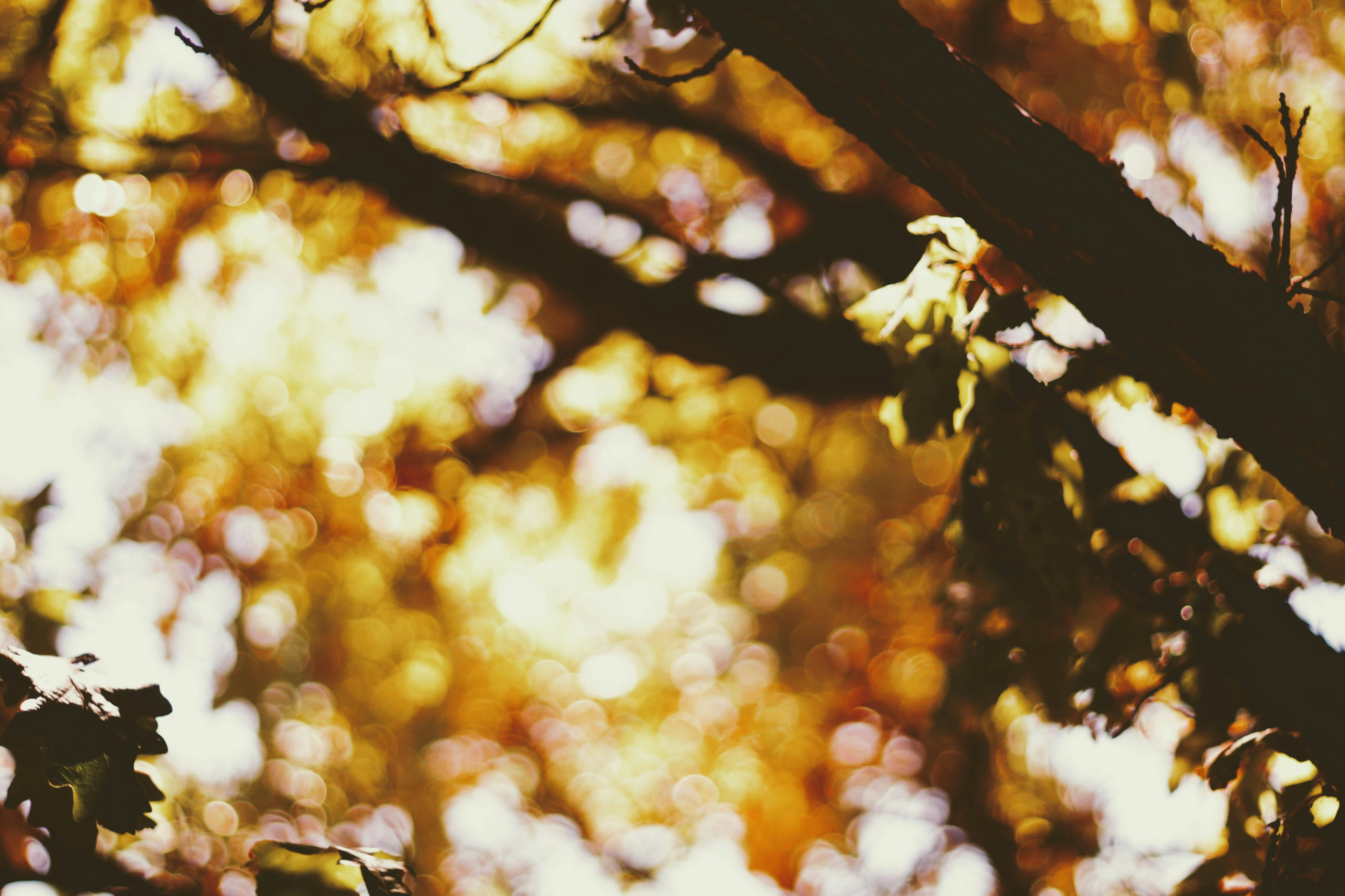 Photo by joshua_hoehne