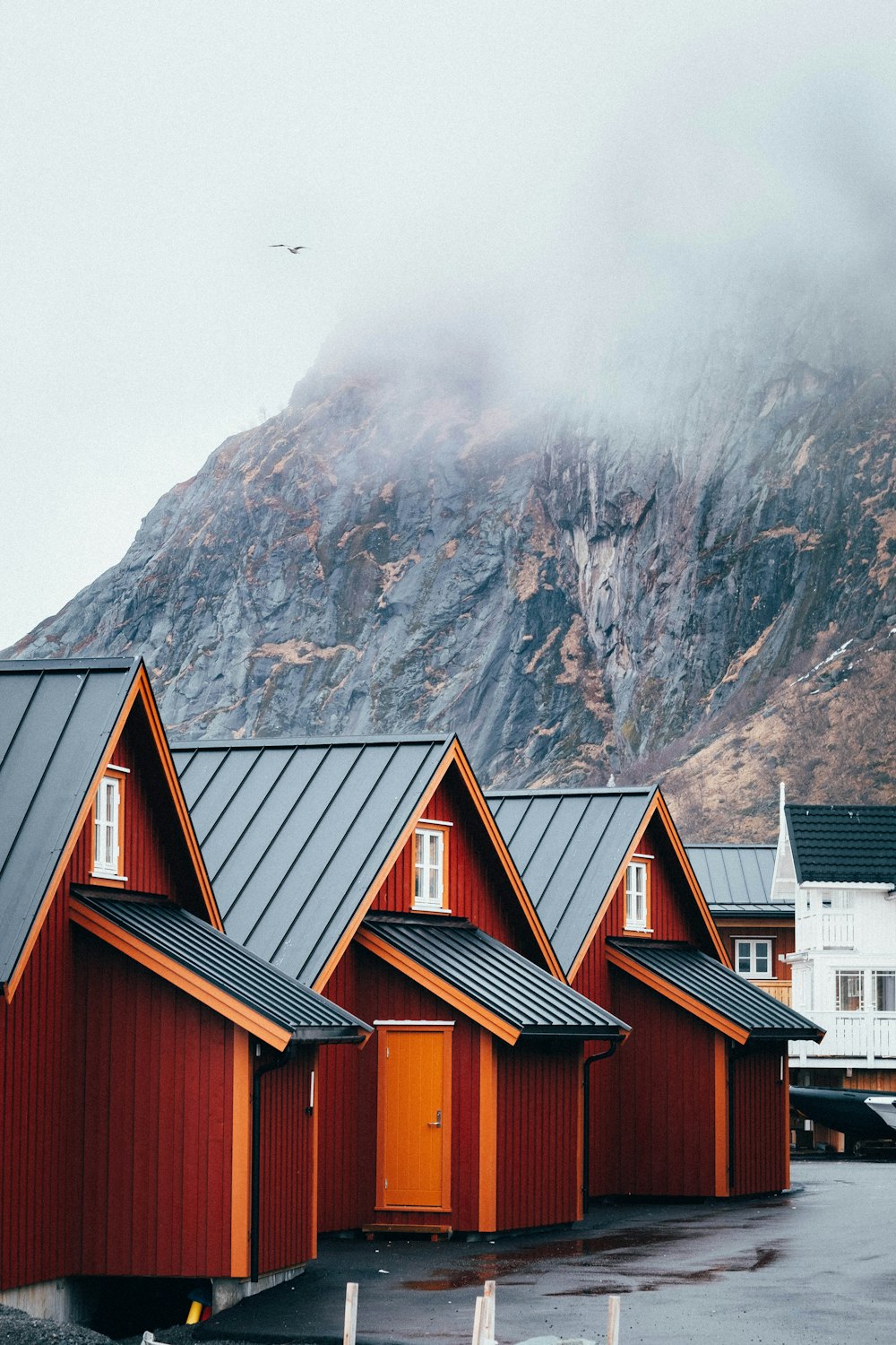 brown-and-black houses