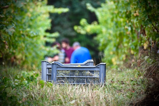 depth of field photography of gray crate in Cocumont France