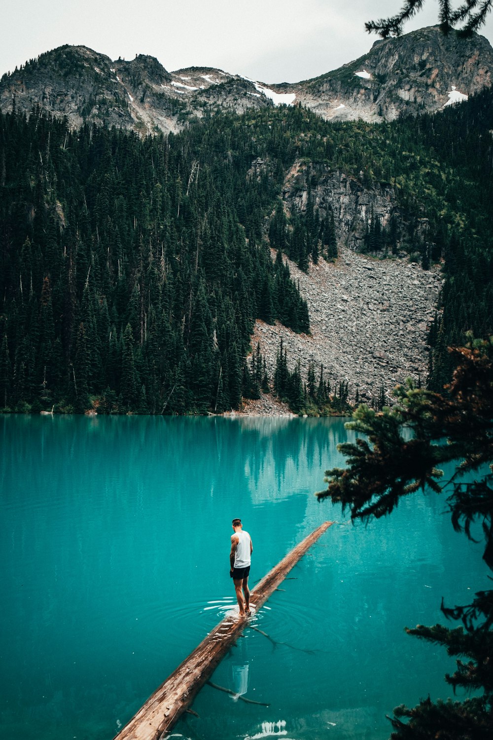 man standing on brown log on body of water