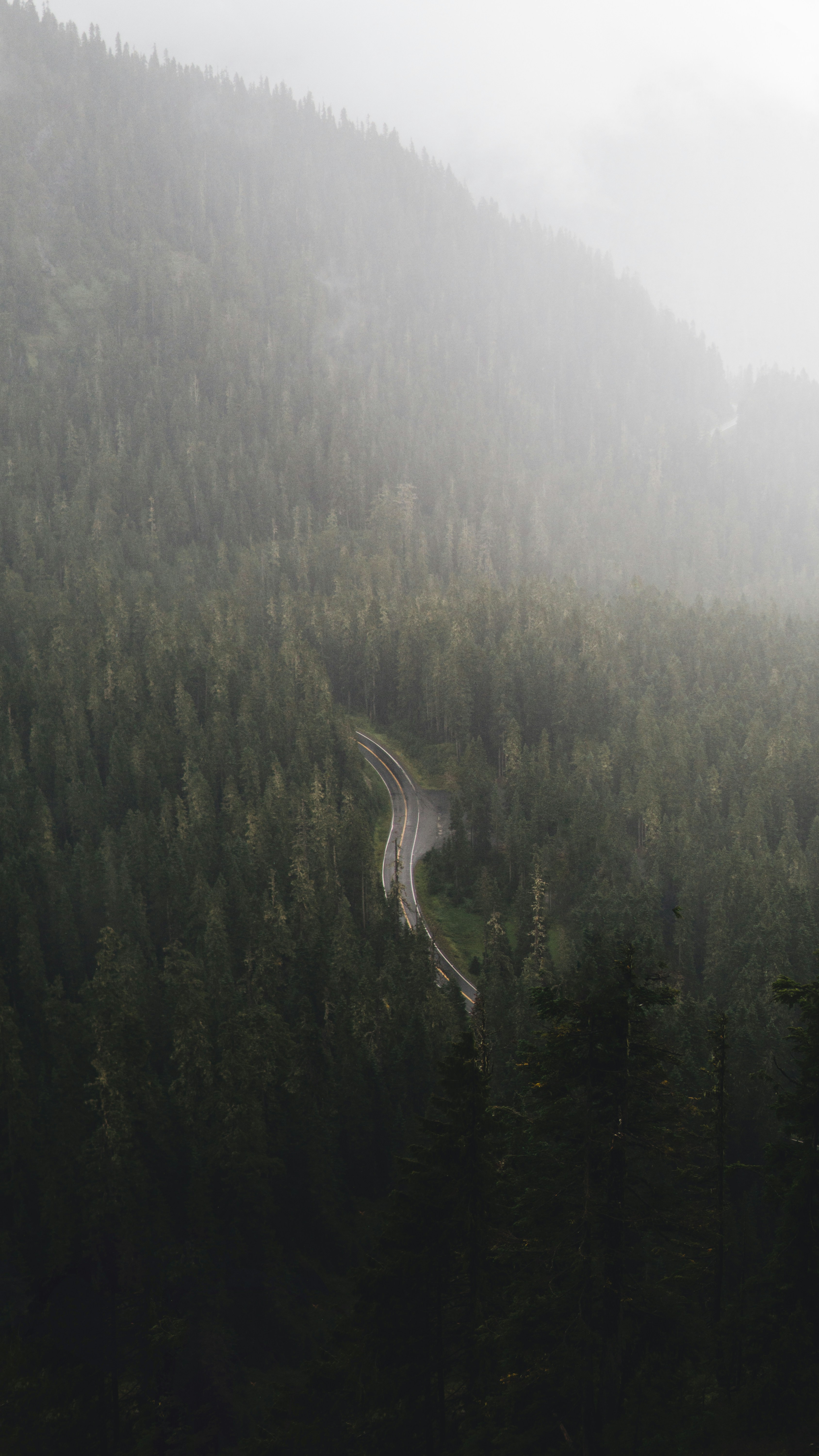 Photo by overlyawesome