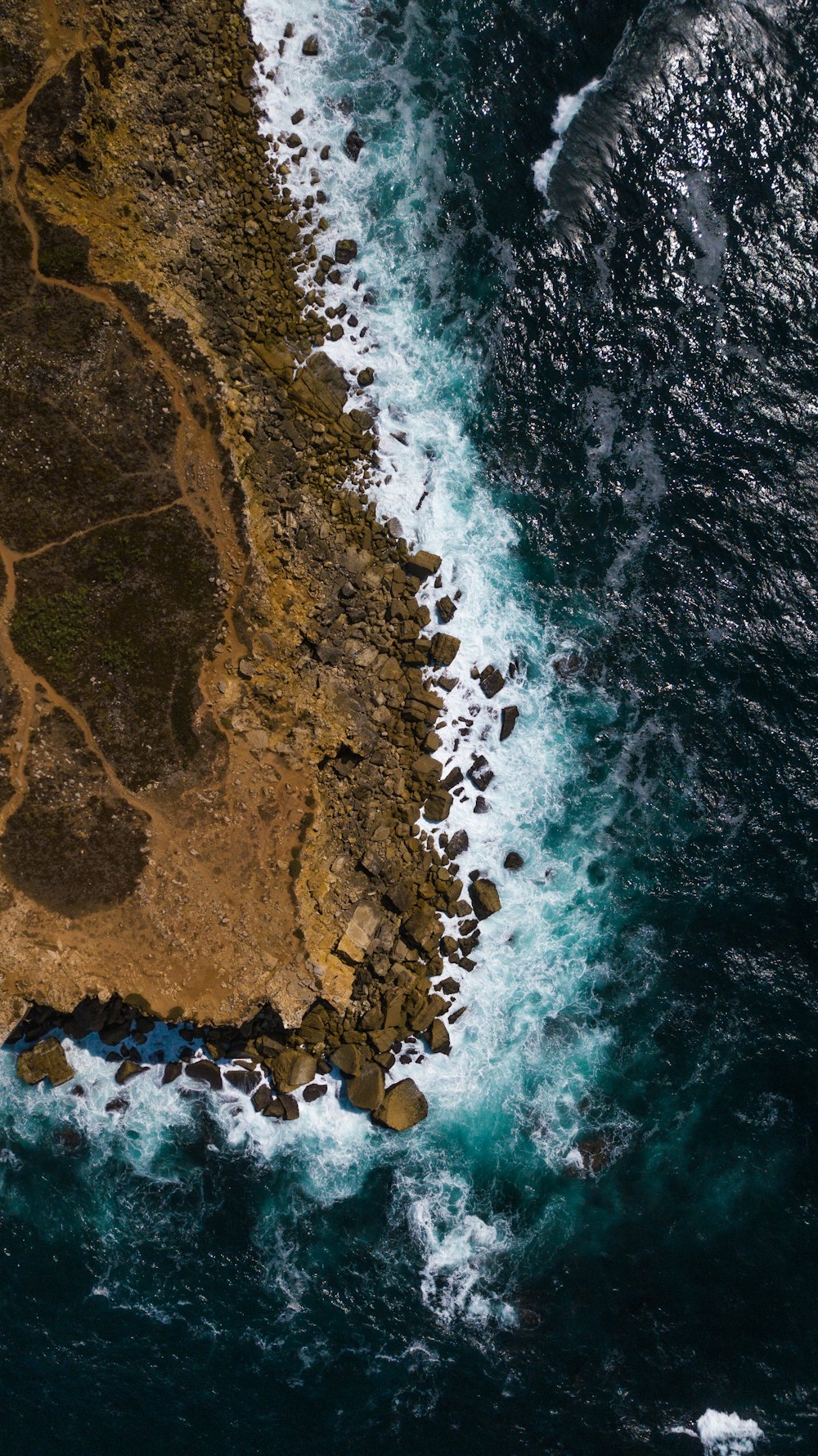 aerial shore near sea photography