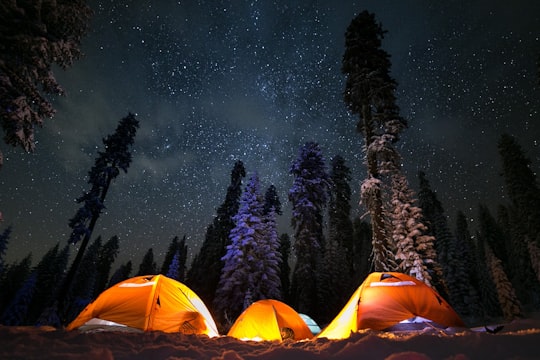 three tents under stars in Sierra National Forest United States