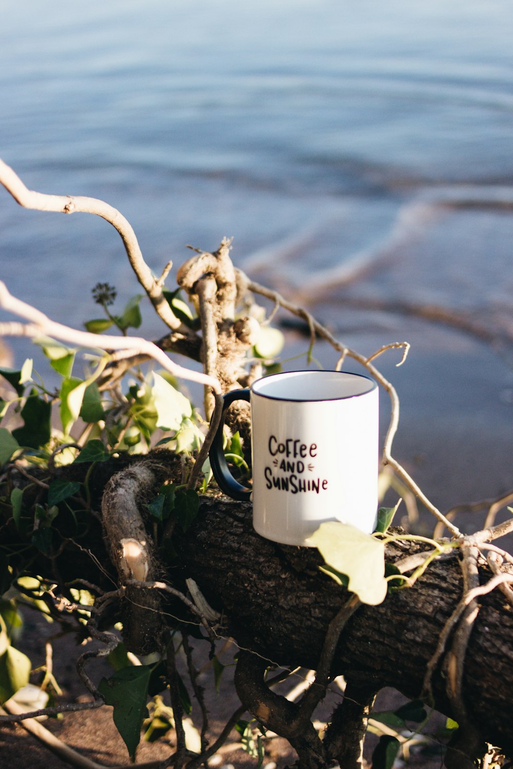 white ceramic mug on brown wooden stick