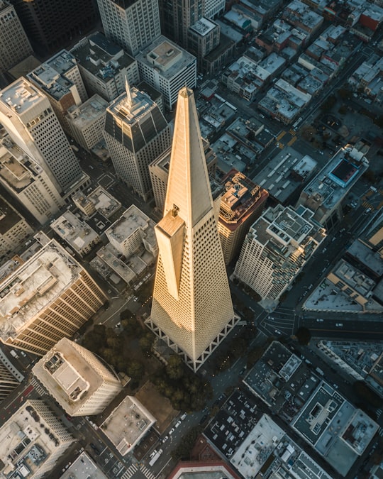 aerial photography of gray conical tower in Transamerica Pyramid United States