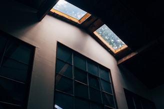 A close-up of a stylish container interior with natural light streaming in.