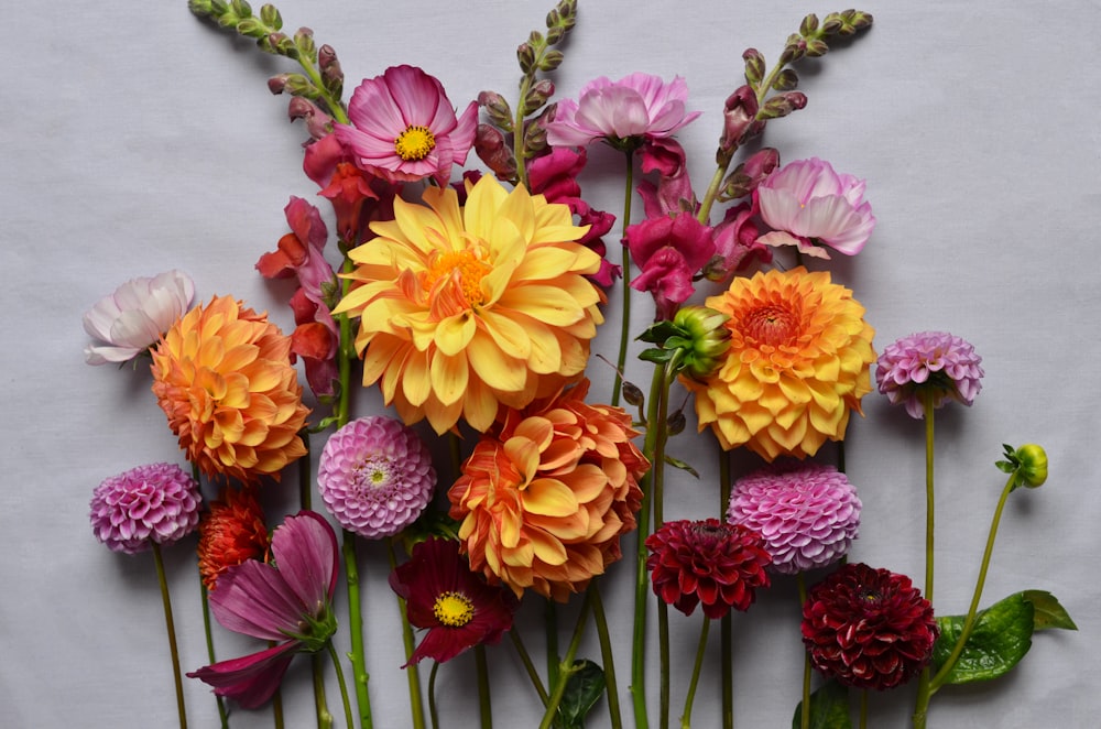 multicolored cluster petaled flowers on white wall