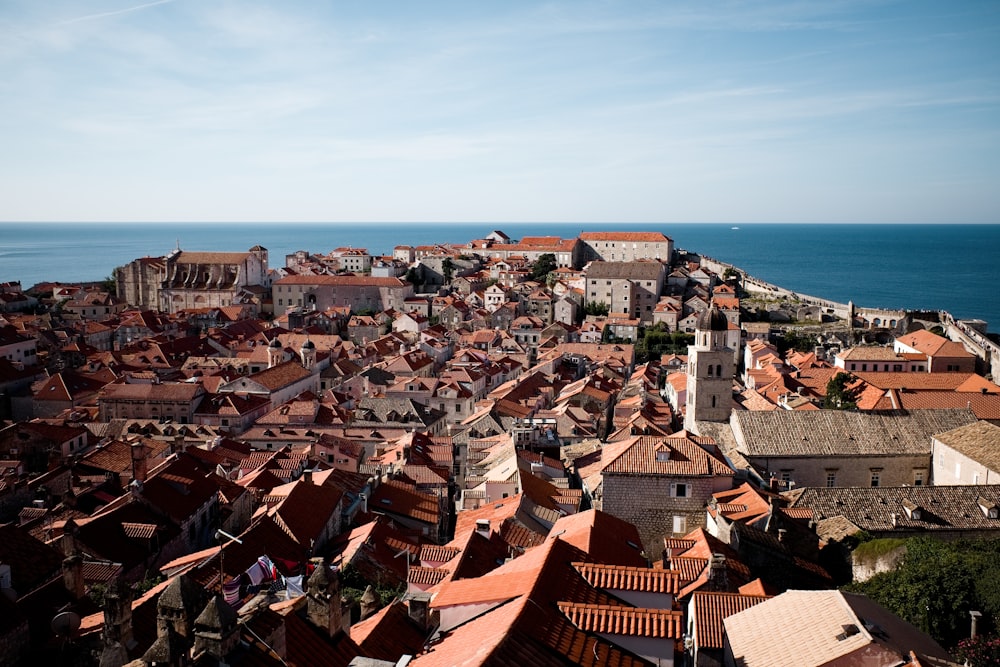 brown houses near body of water