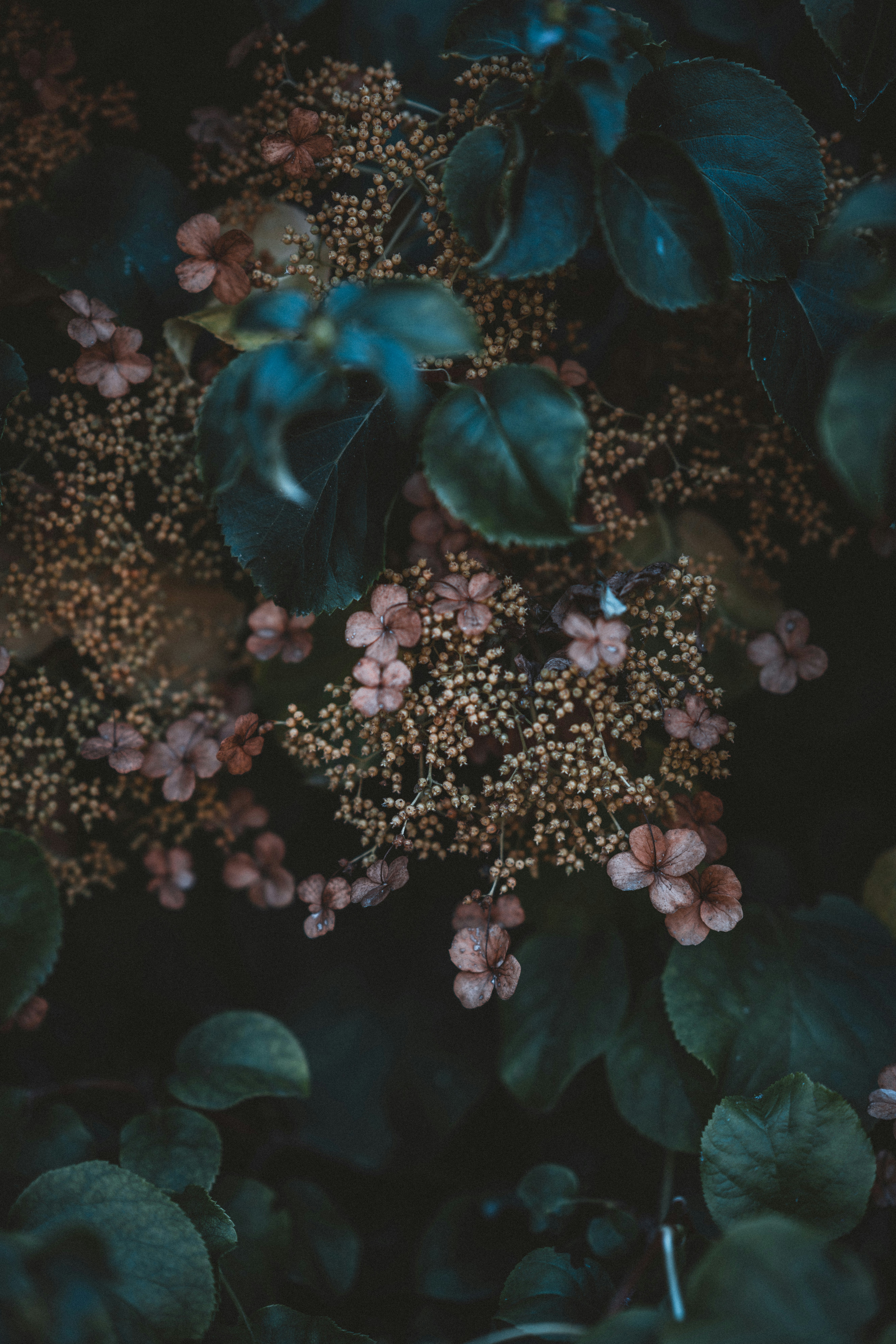 Photo by anniespratt