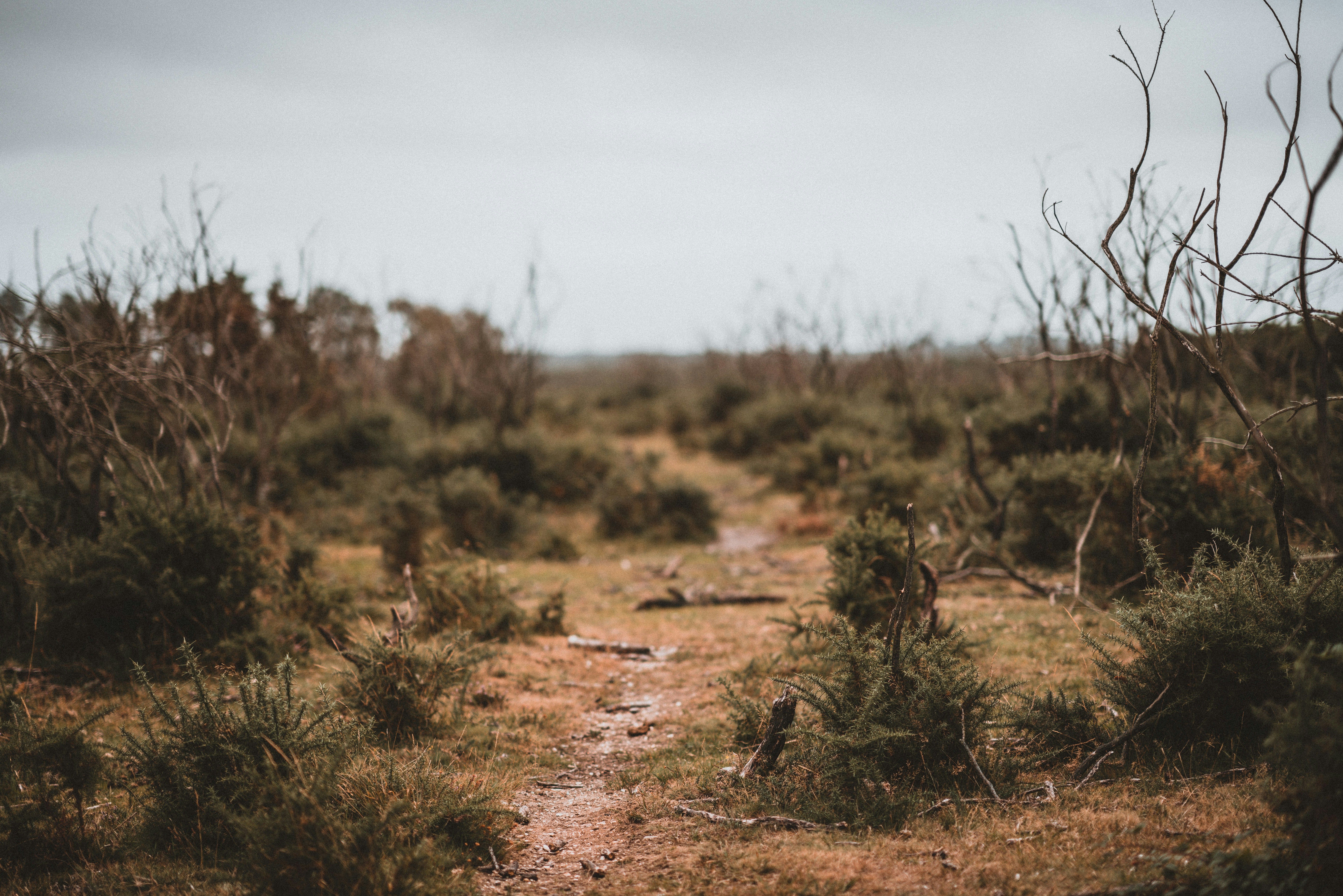 Photo by anniespratt