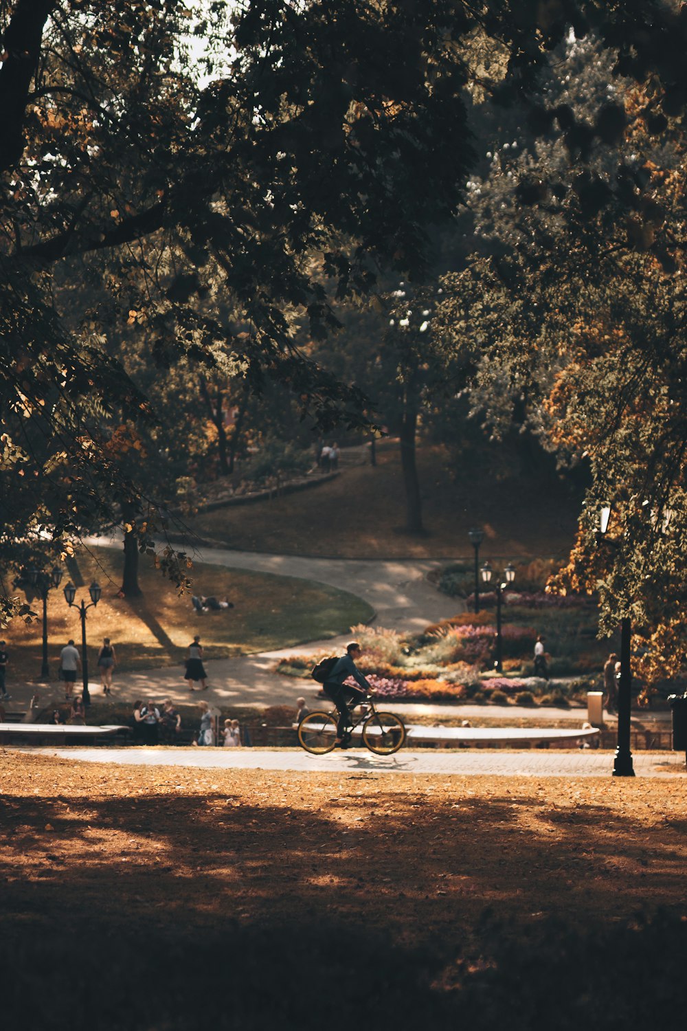 person riding bicycle on park