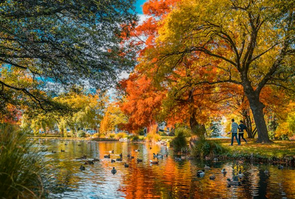 Orange leaf trees beside river — Queenstown, New Zealand