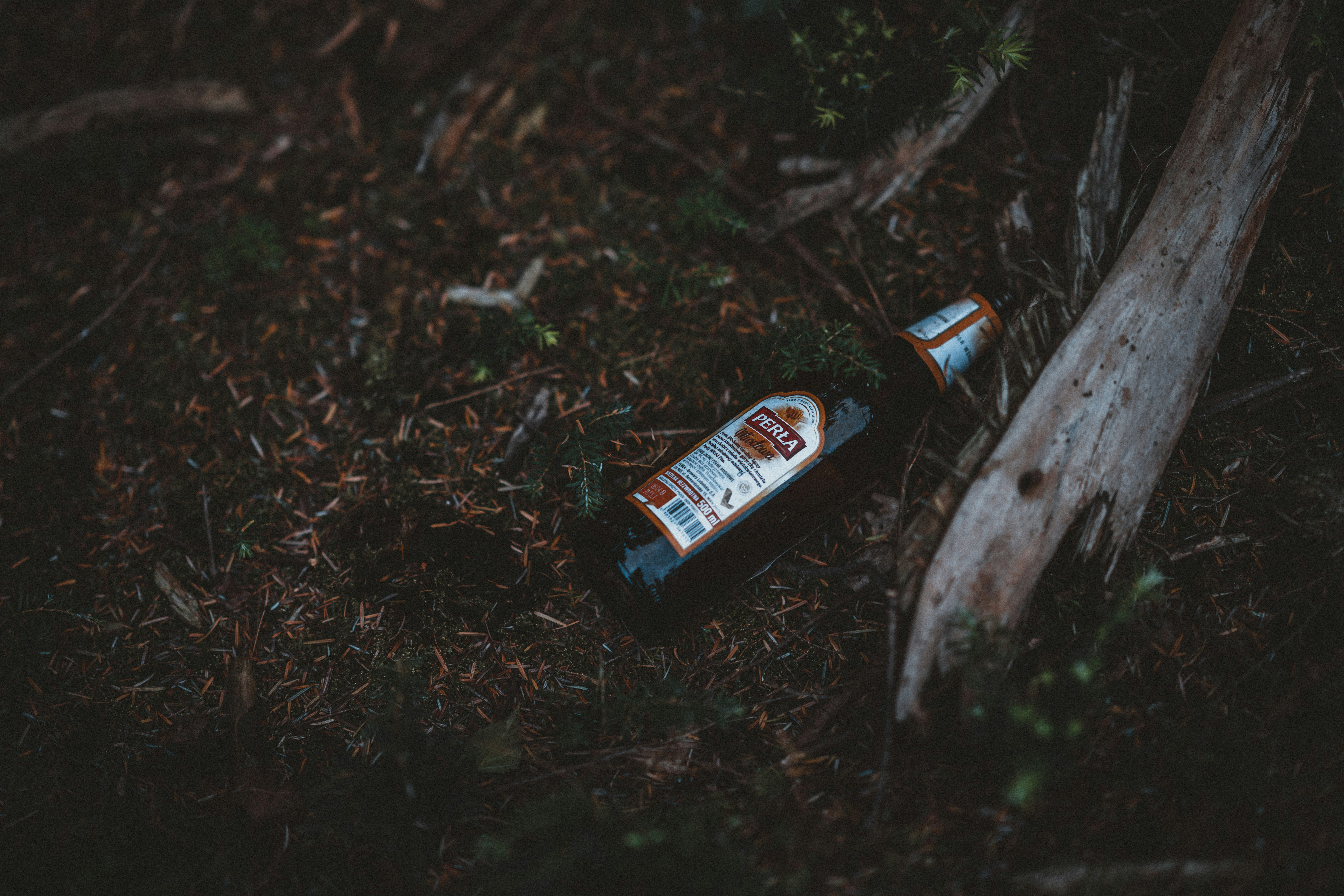 Photo by anniespratt