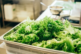Packaging area with fresh lettuce being prepared for shipment.