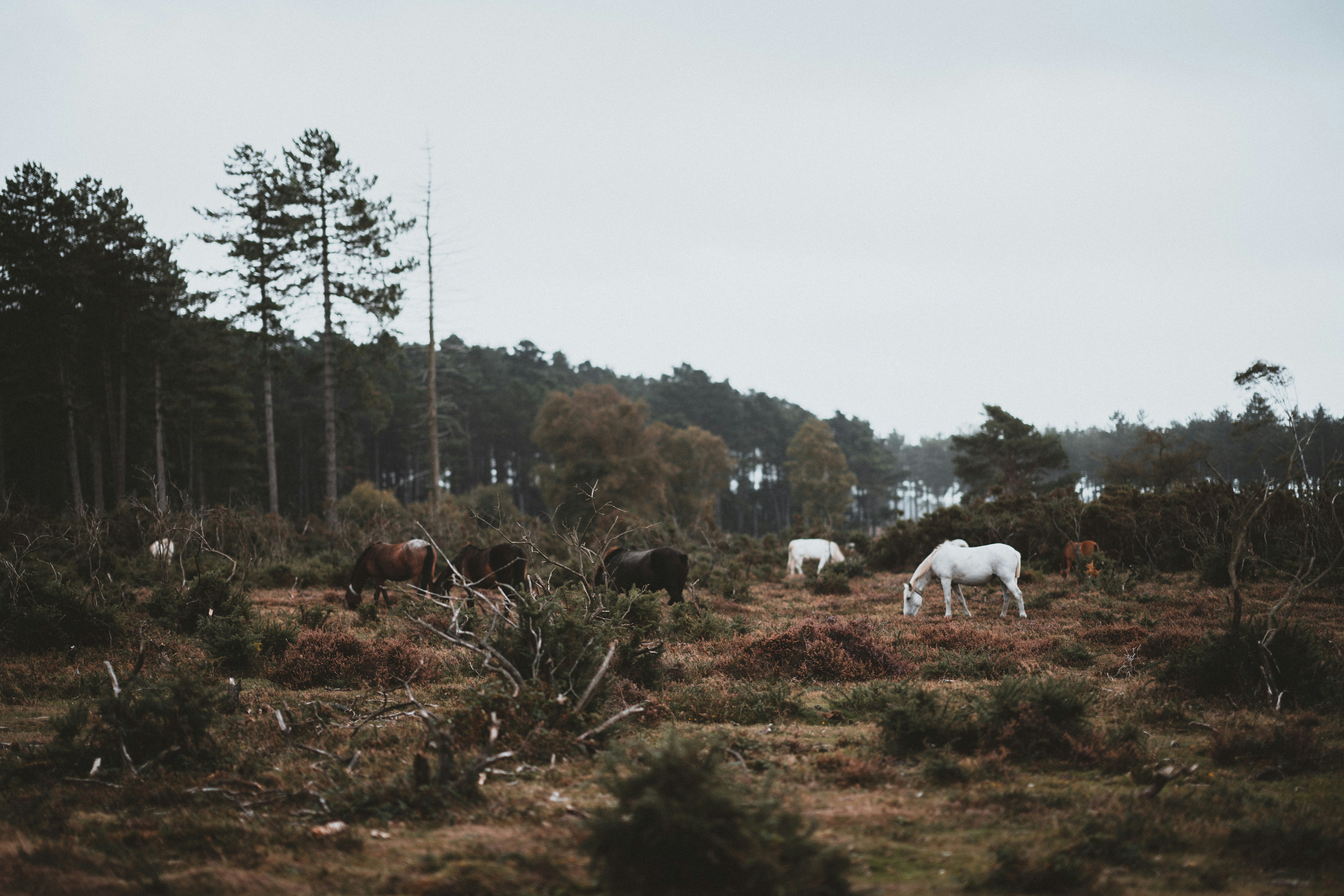 Photo by anniespratt
