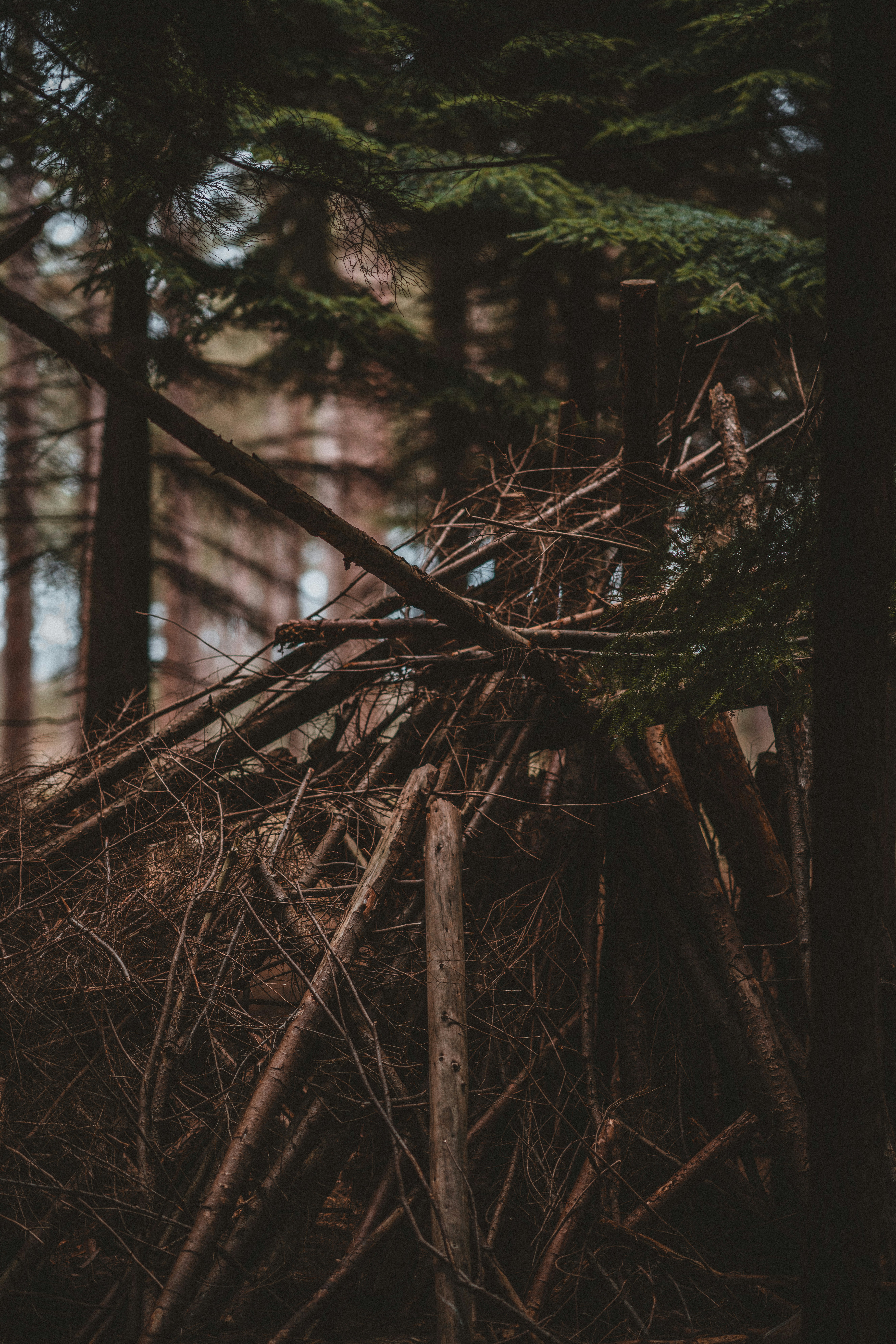 Photo by anniespratt