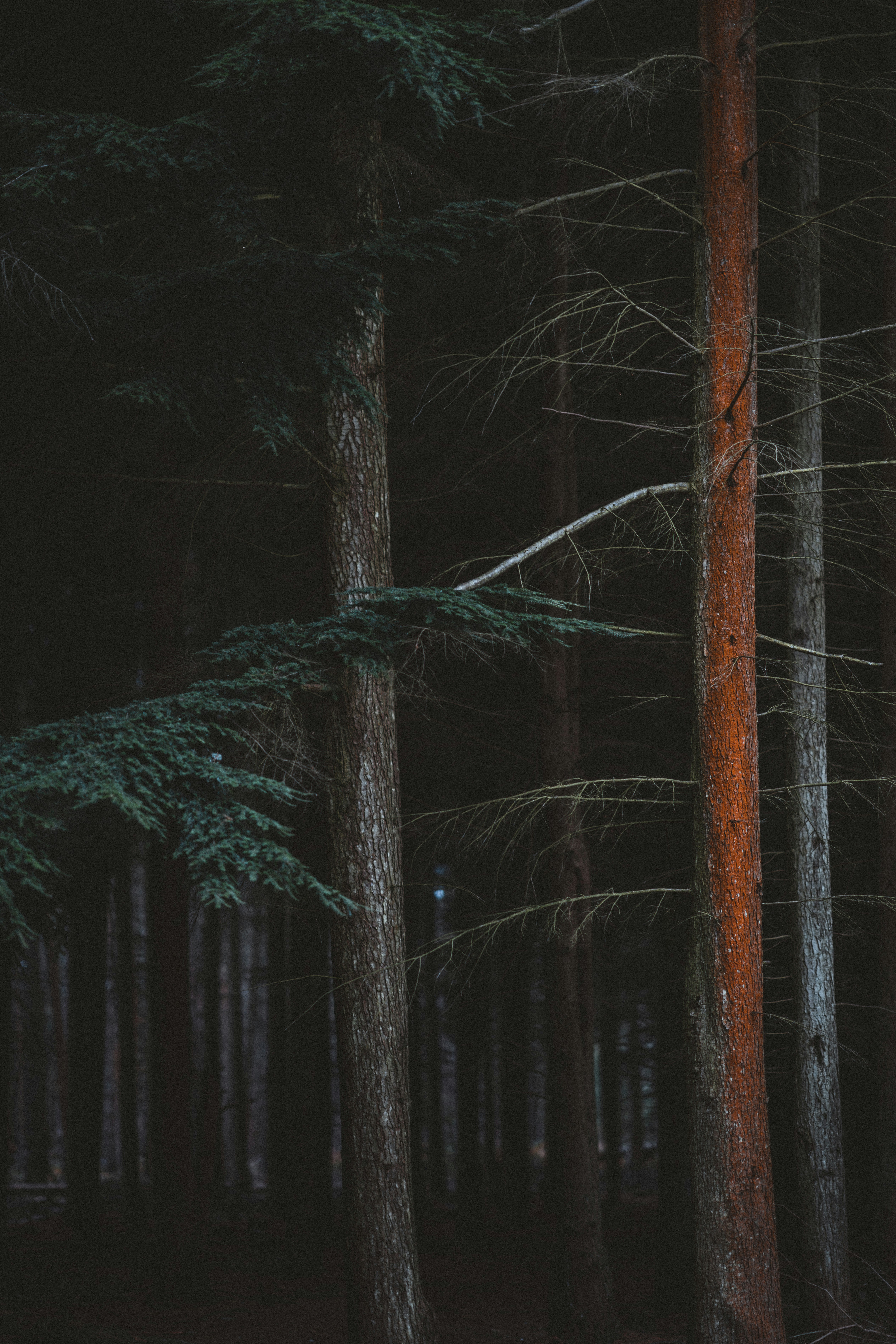 Photo by anniespratt