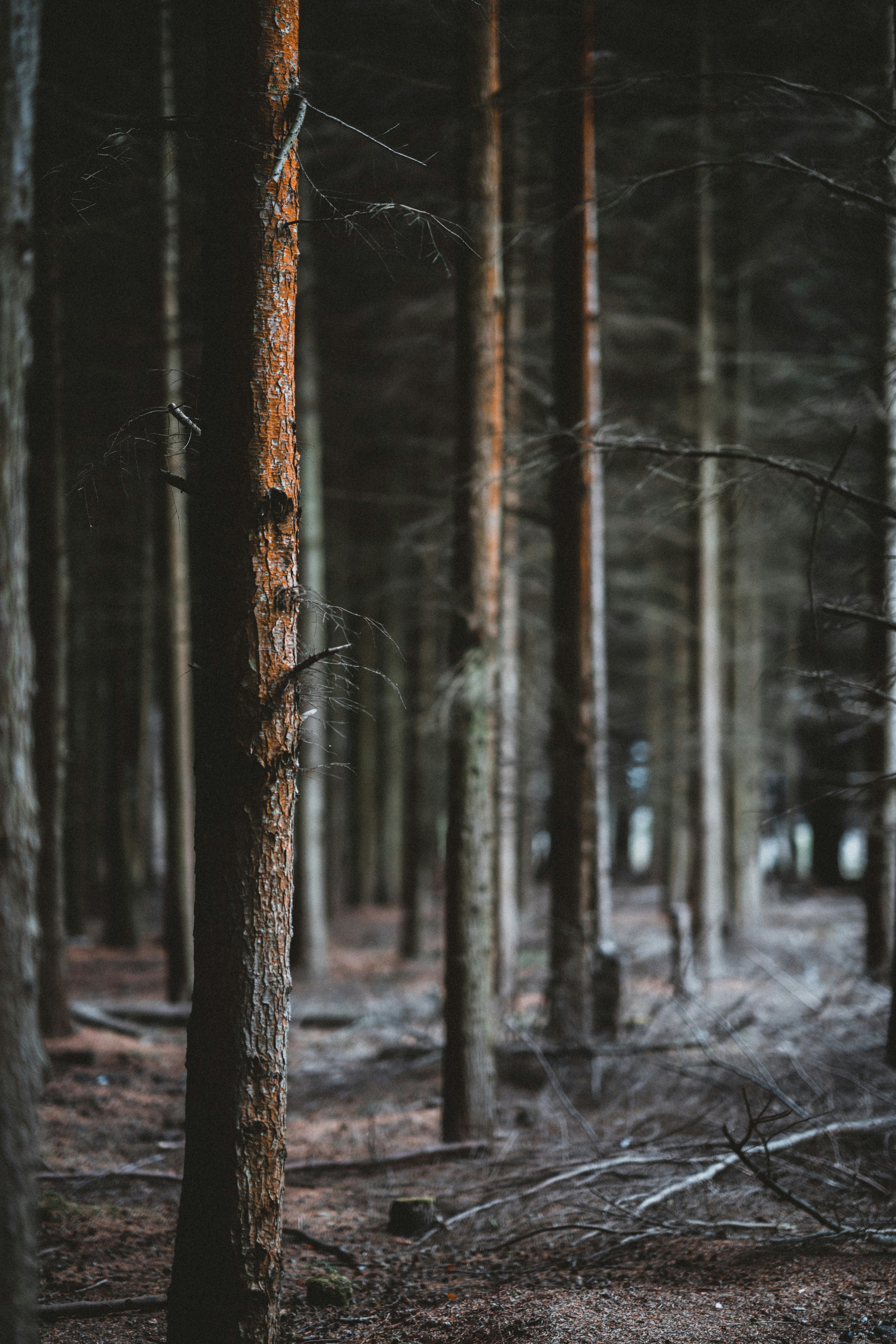 Photo by anniespratt