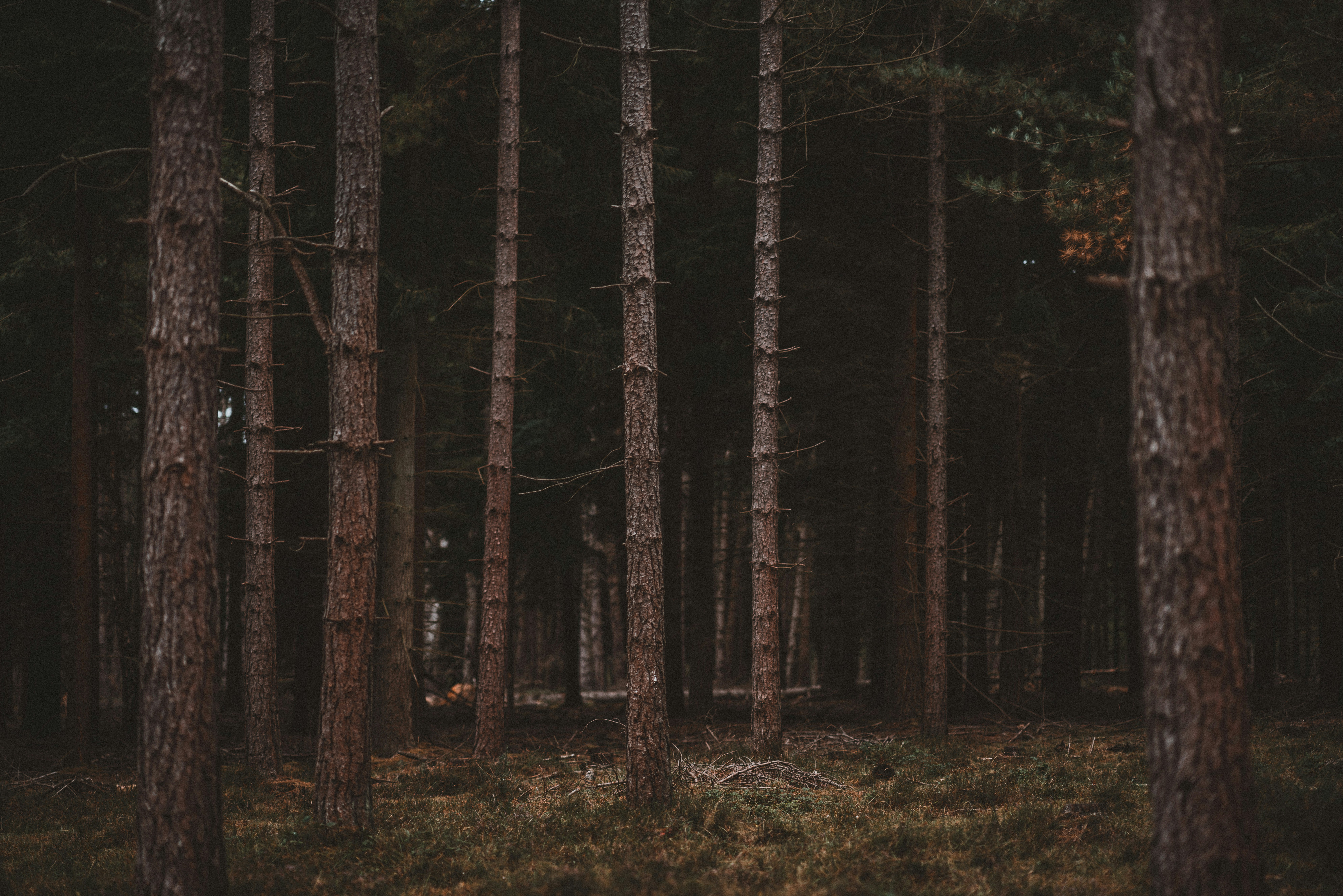 Photo by anniespratt