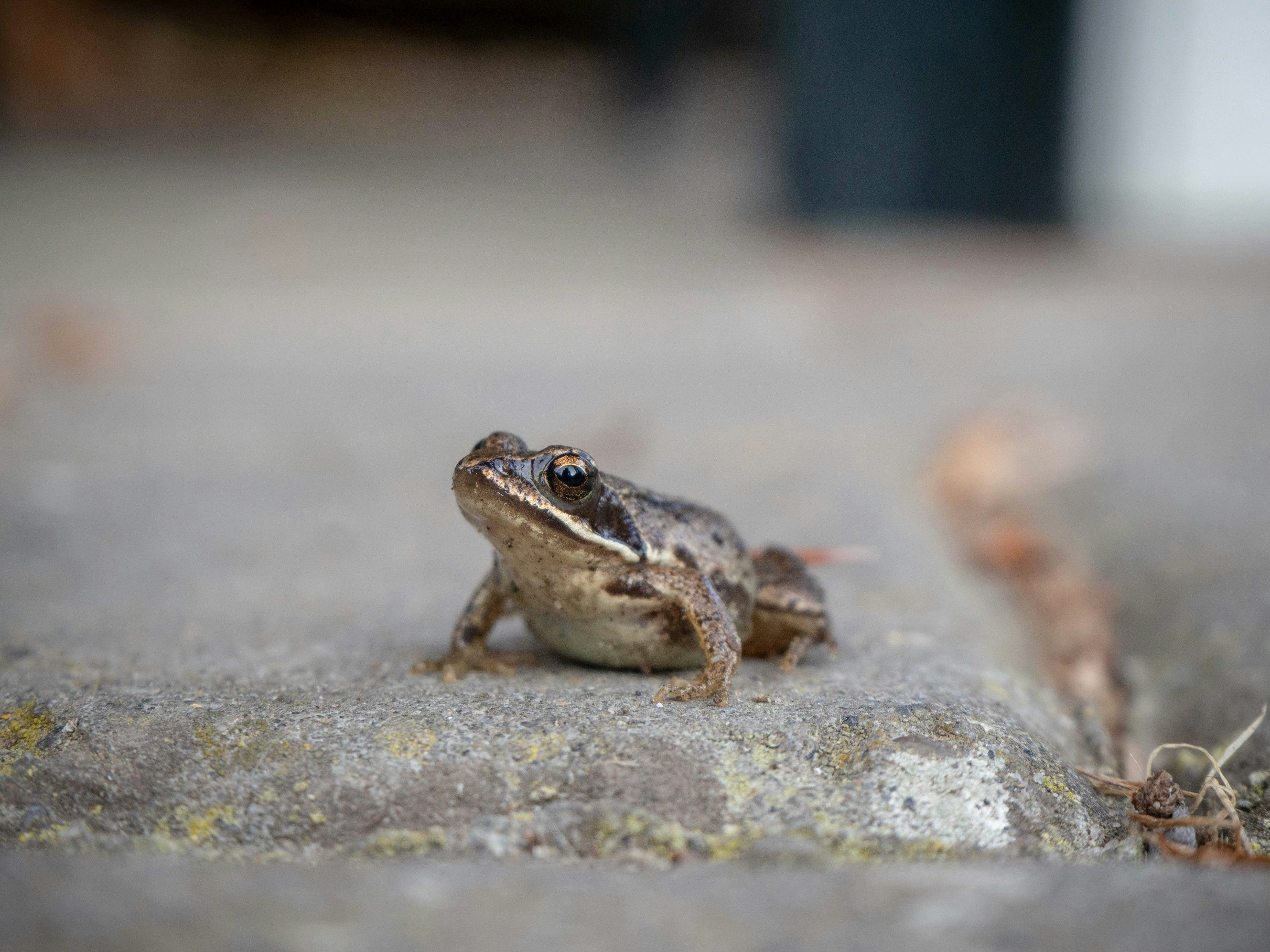 Photo by thegreatseb