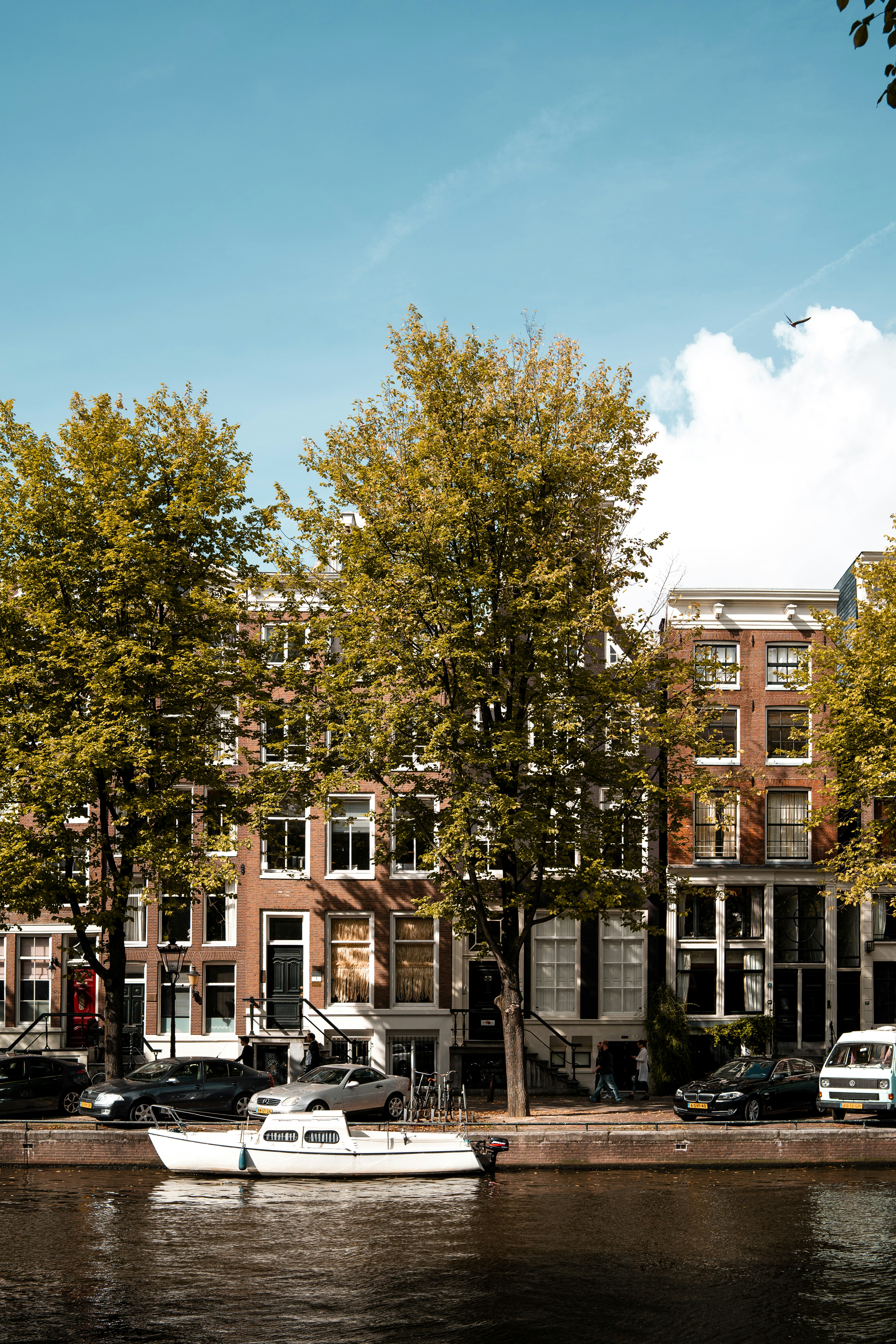 Photo by williambout