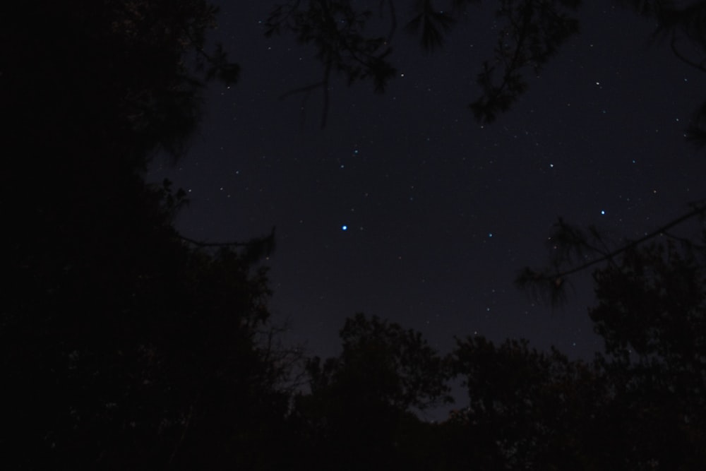 Flachwinkelfotografie von Sternen am Himmel