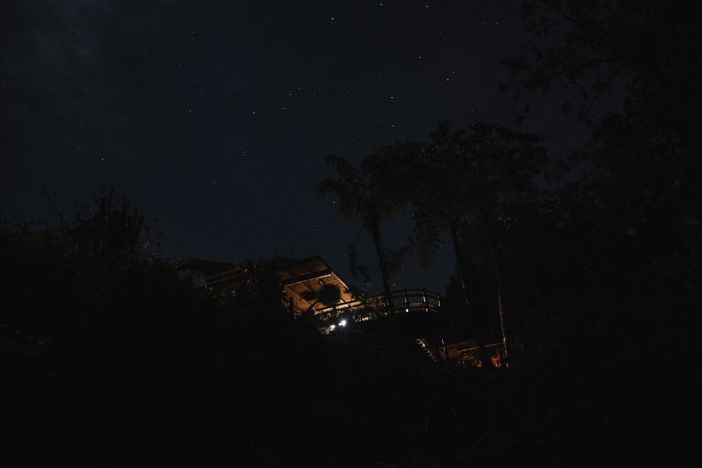 夜の木々のそばの家