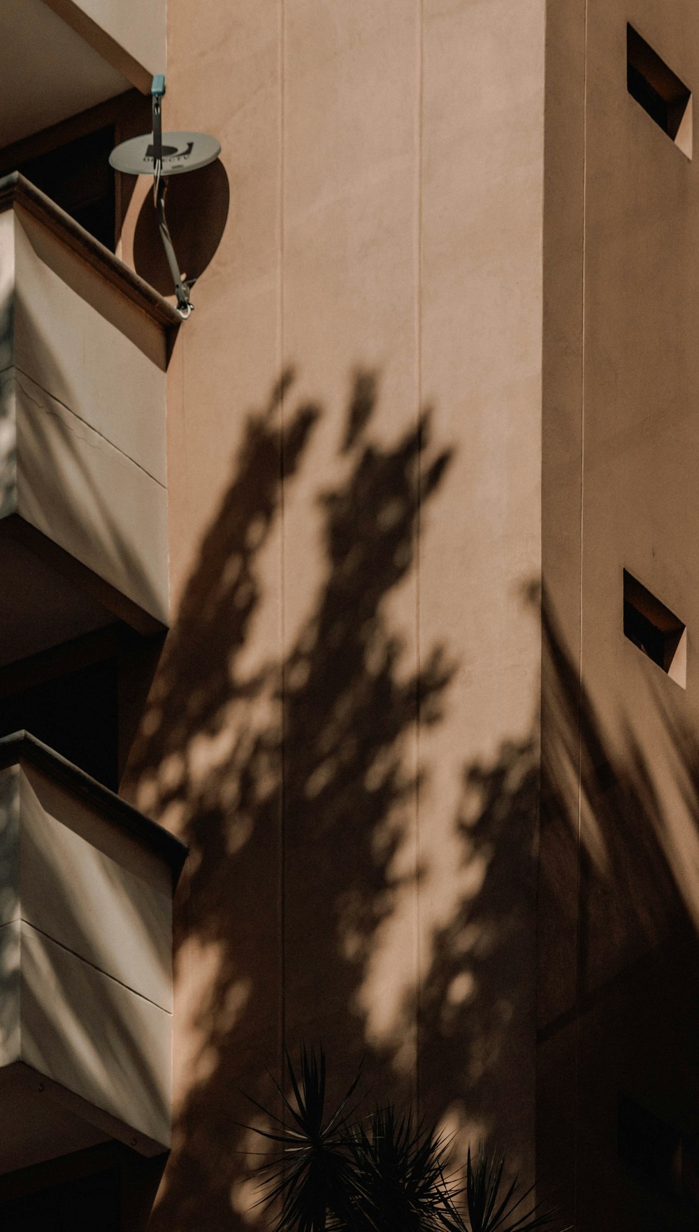 two gray shed near tree shadows