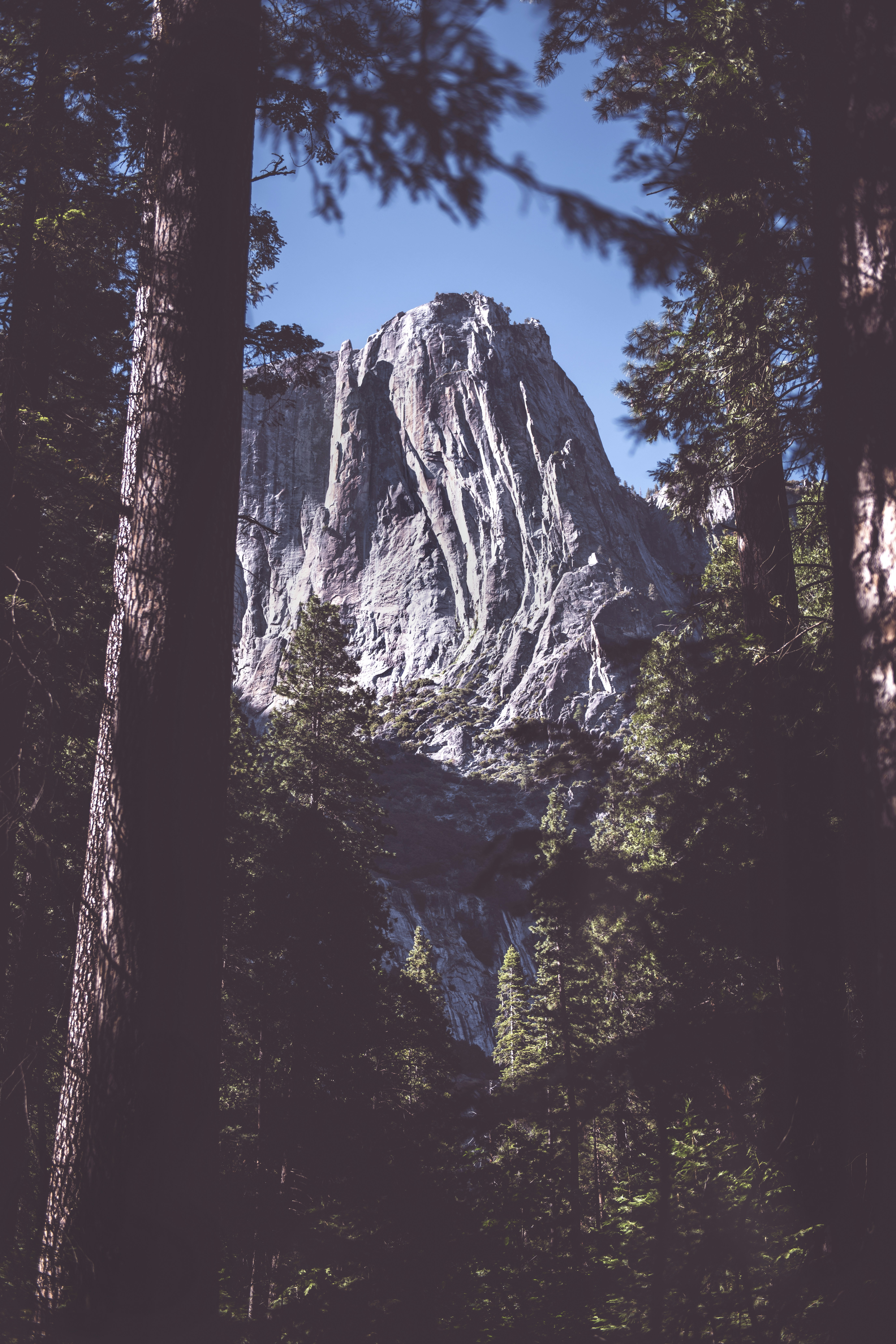 Photo by timmossholder