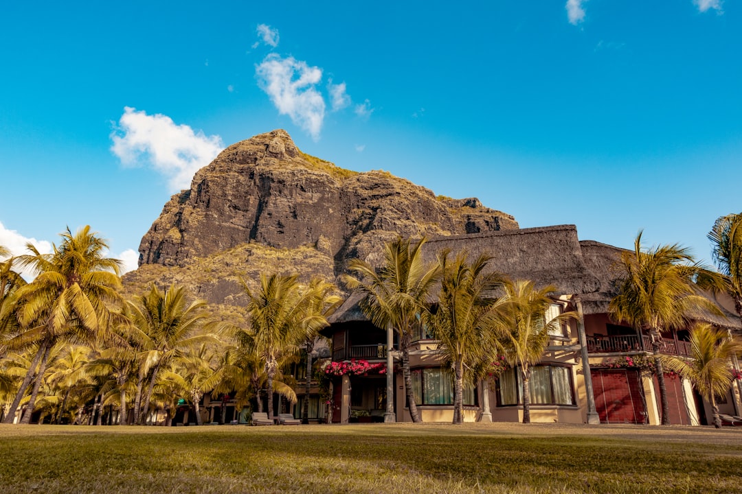 green palm trees, Le Morne Mountain From Dinarobin