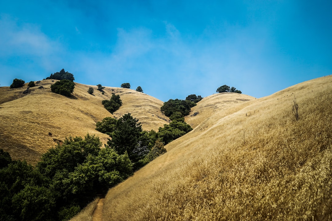 Hill photo spot Mount Tamalpais Point Reyes National Seashore