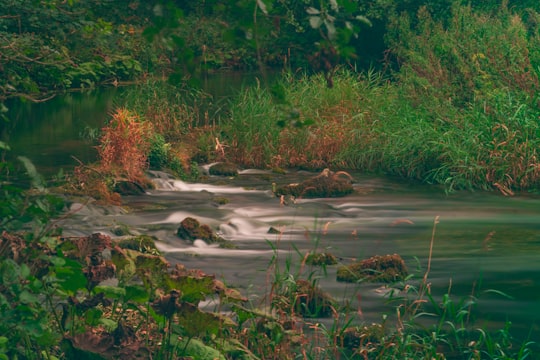 body of water surrounded by grass in Dovedale United Kingdom