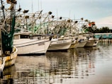 Several fishing boats are docked along a calm waterfront. Each boat features various equipment on its deck, including nets and rigging. The names of the boats such as 'Hunter' and 'Star Sea' are visible on their hulls. The water reflects the boats and a blue building can be seen in the background.