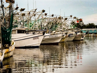 Several fishing boats are docked along a calm waterfront. Each boat features various equipment on its deck, including nets and rigging. The names of the boats such as 'Hunter' and 'Star Sea' are visible on their hulls. The water reflects the boats and a blue building can be seen in the background.