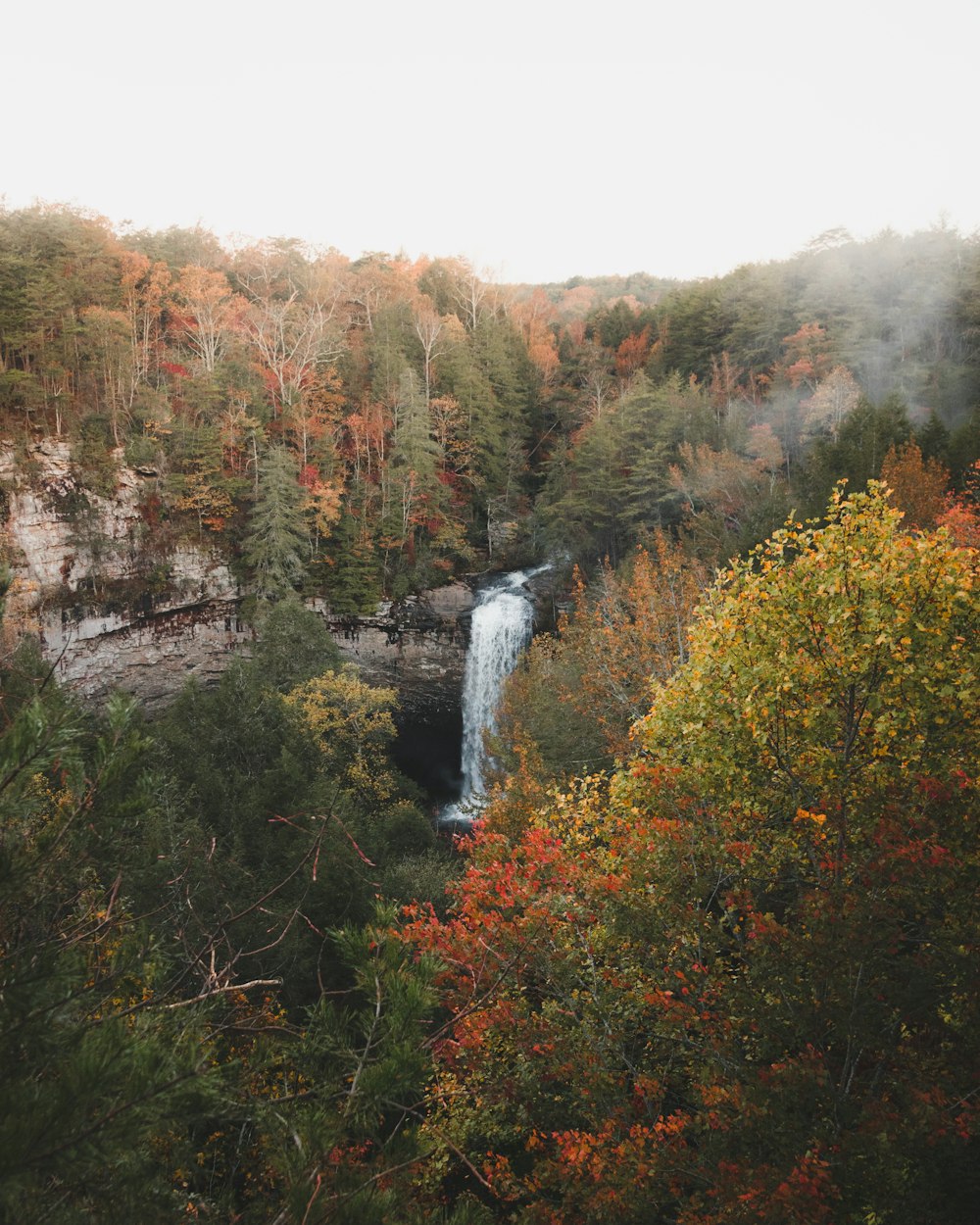 waterfalls between green and orange leafed trees