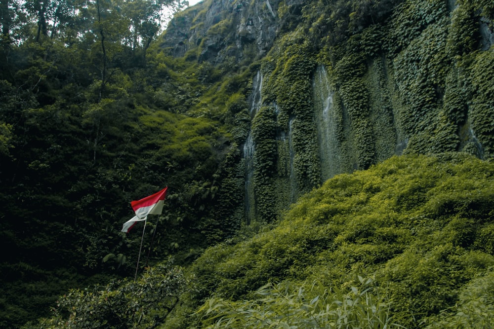 low-angle photography of red and white striped flag near green leaf trees