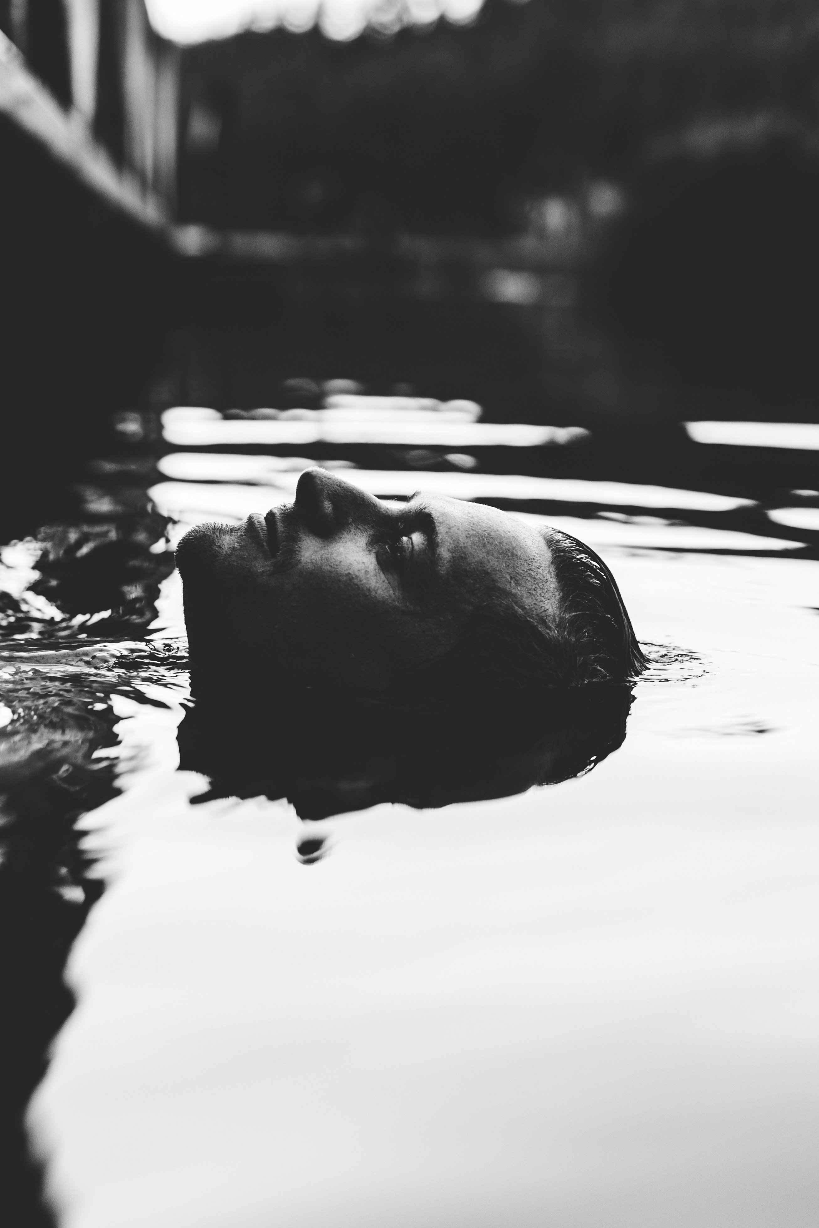 Définition de alouette Dictionnaire français