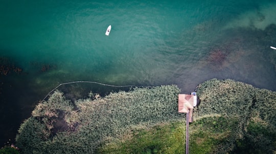 aerial photo of body of water near island during daytime in Au ZH Switzerland